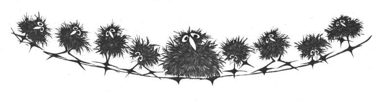 Greedy Bird